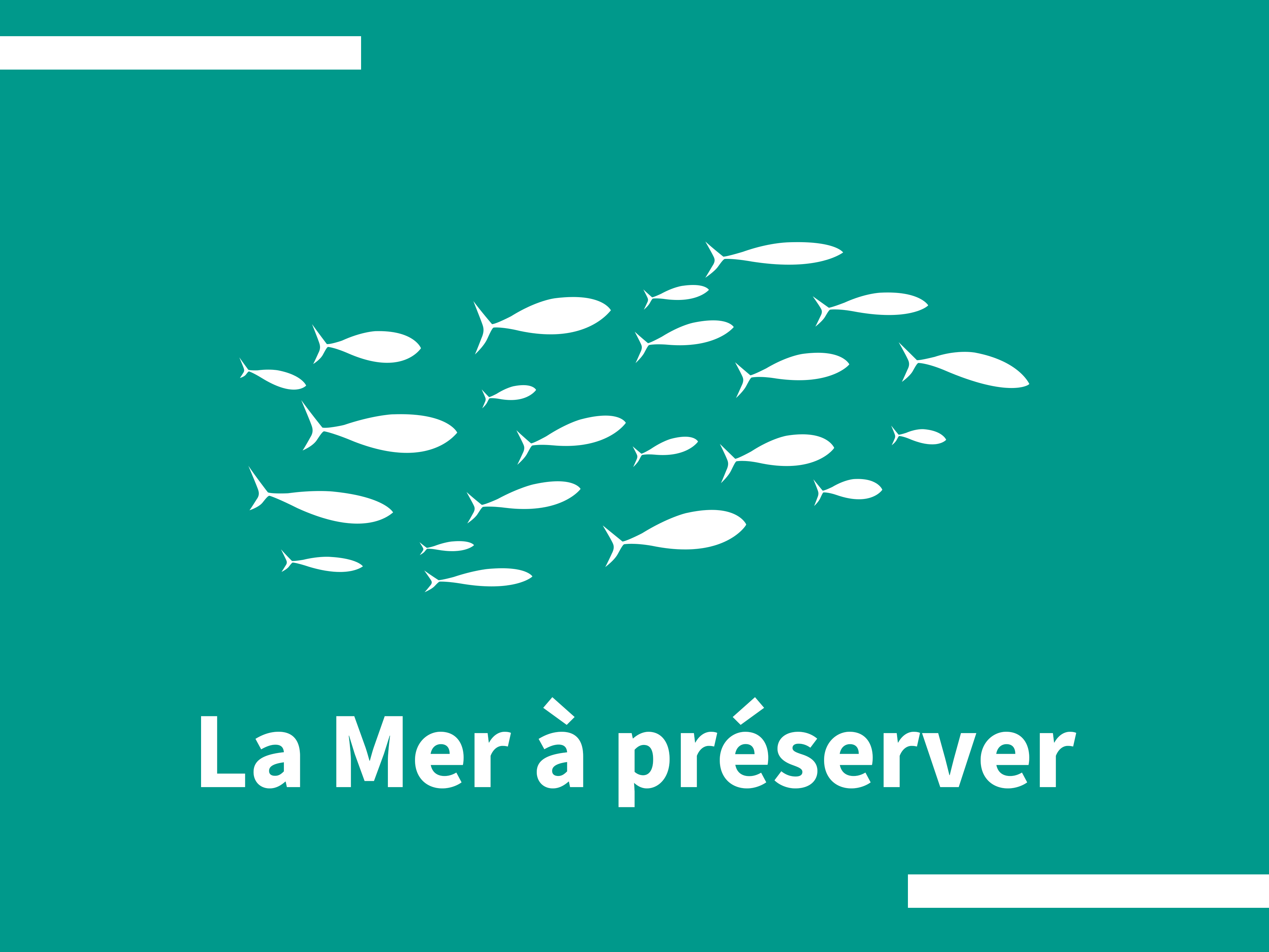 La Mer à préserver