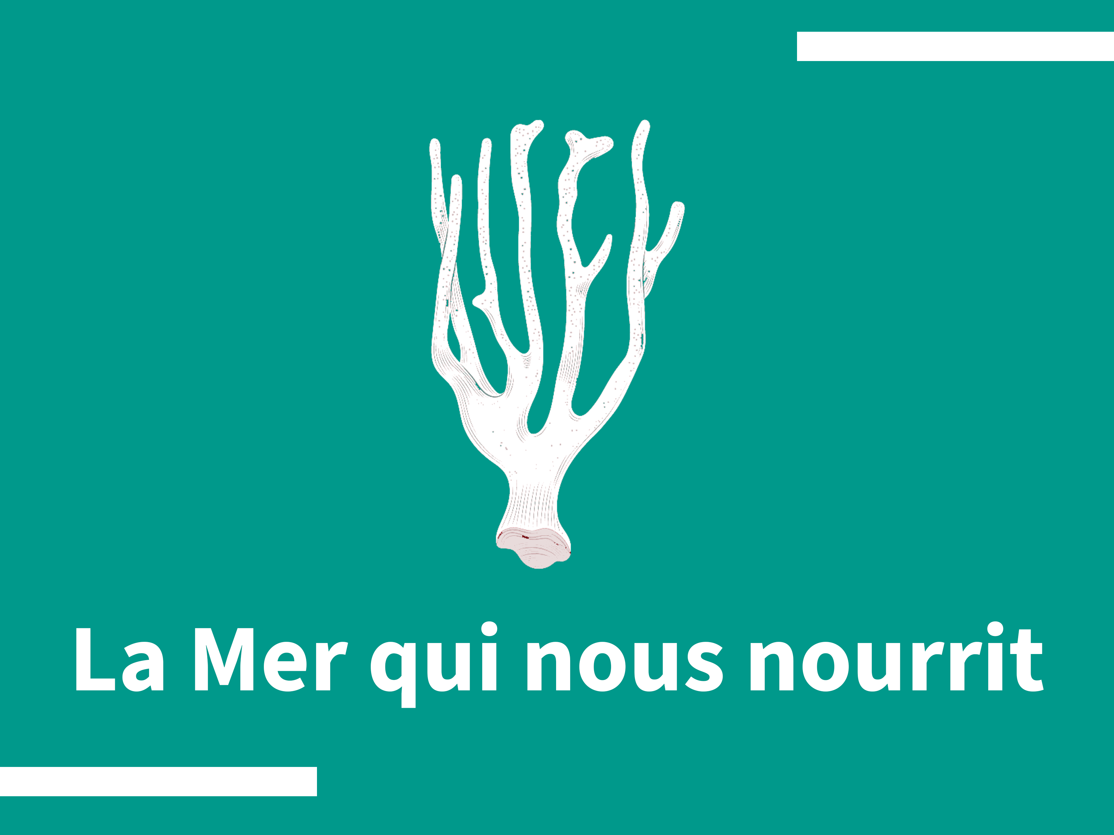 La Mer qui nous nourrit