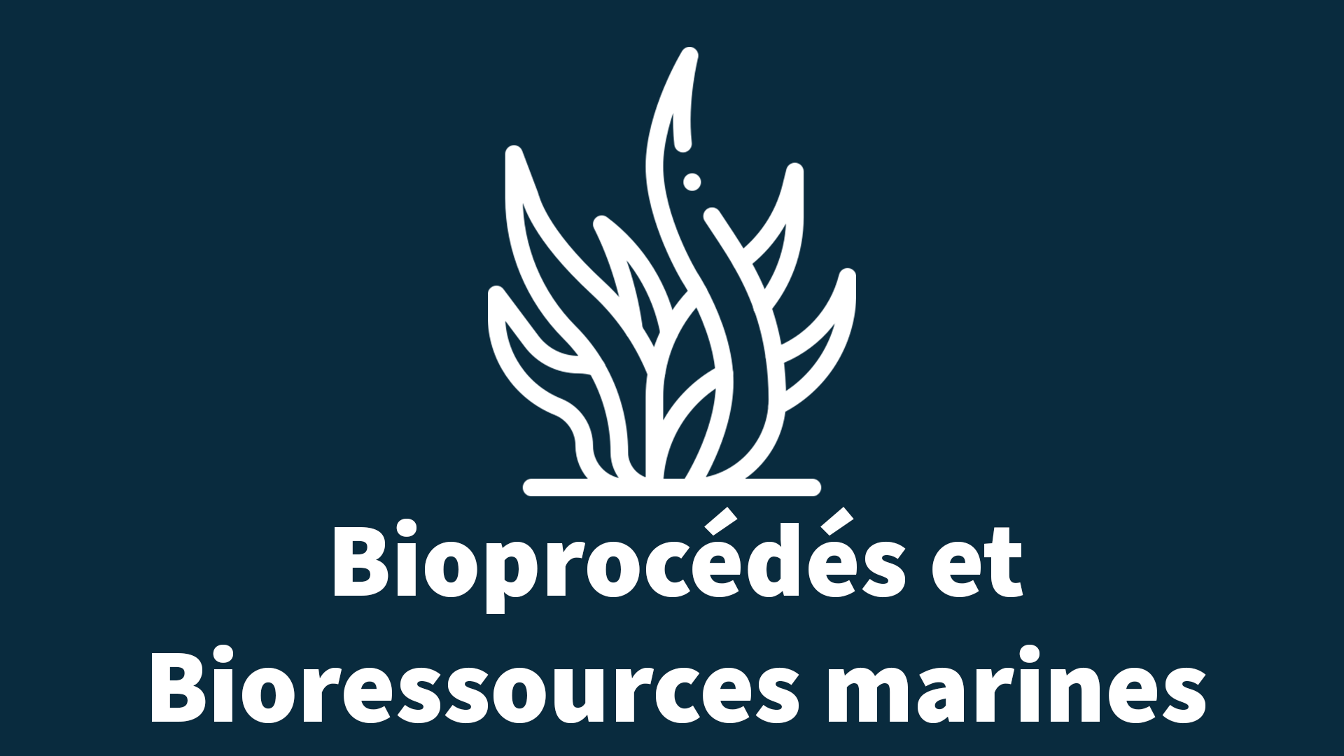 Bouton_Bioprocédés et Bioressources marines