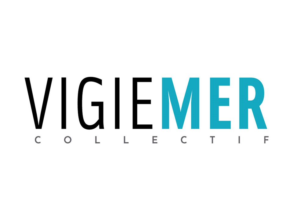 Logo_Vigiemer
